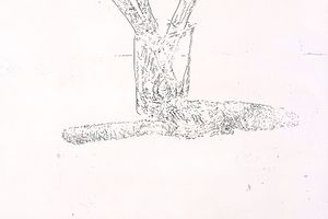 Lim Nosik
