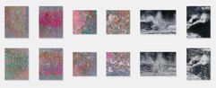 Damien Hirst - Where the Land Meets the Sea full set of 12 matching numbers brand new by Damien Hirst contemporary artwork Print
