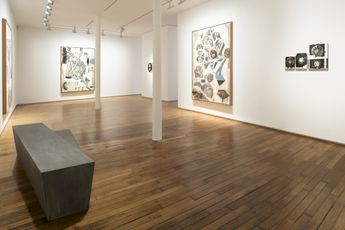 Contemporary art exhibition Jitish Kallat Phase Transition at Templon 28 Grenier Saint-Lazare Paris France