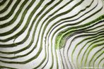 Guangxi 2 Water and Earth China by Tugo Cheng contemporary artwork Photography