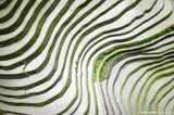 Guangxi 2 Water and Earth China by Tugo Cheng contemporary artwork photography print