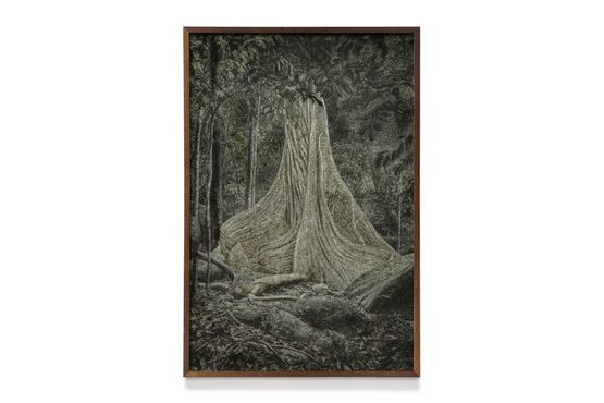 A picturesque voyage through Brazil  174 by Cassio Vasconcellos contemporary artwork Works on Paper