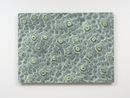 Enderby by Elizabeth Thomson contemporary artwork Painting