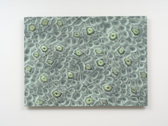 Enderby by Elizabeth Thomson contemporary artwork Painting