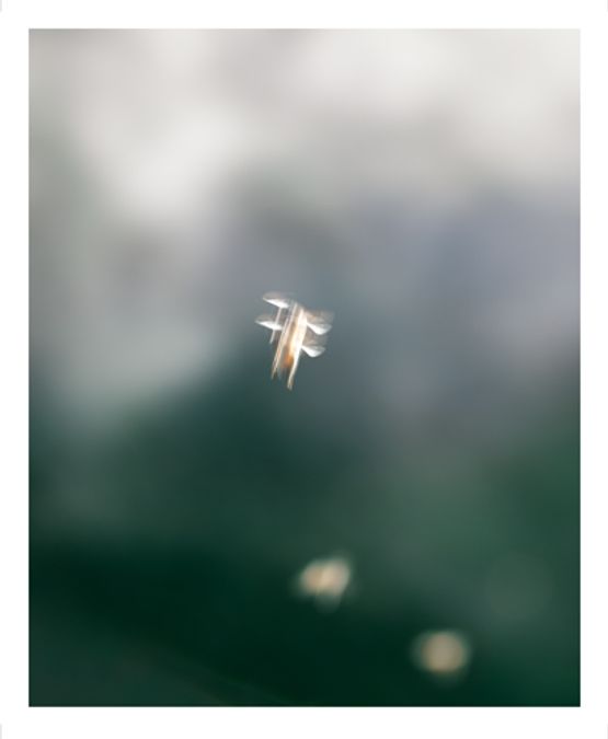 Song Sting Swarm 18 by Anne Noble contemporary artwork Photography