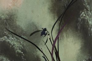Cody Choi