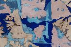 Samantha Thomas contemporary artist