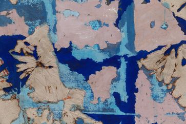 Samantha Thomas contemporary artist