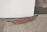 Make a Wish dusk by Lewis Fidock  Joshua Petherick contemporary artwork sculpture