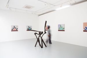 Thomas Wachholz