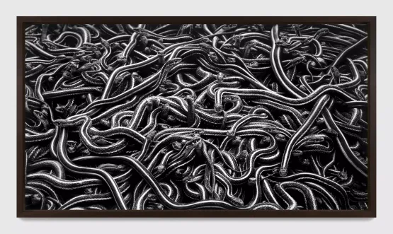 Untitled Snake Pit by Robert Longo contemporary artwork Works on Paper