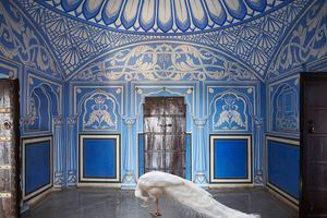Karen Knorr