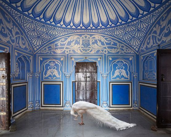 Ganeshas Mount Chavi Niwas Jaipur by Karen Knorr contemporary artwork Photography