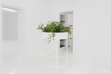 Untitled by Alice Wang contemporary artwork installation