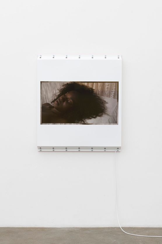Rob It in Flesh Zoe by Shahryar Nashat contemporary artwork Moving Image
