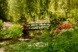 Giverny by Michael Wesely contemporary artwork photography