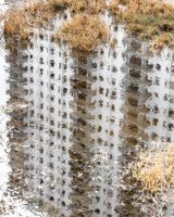Condo Reflection at King Tide Hollywood by Anastasia Samoylova contemporary artwork photography