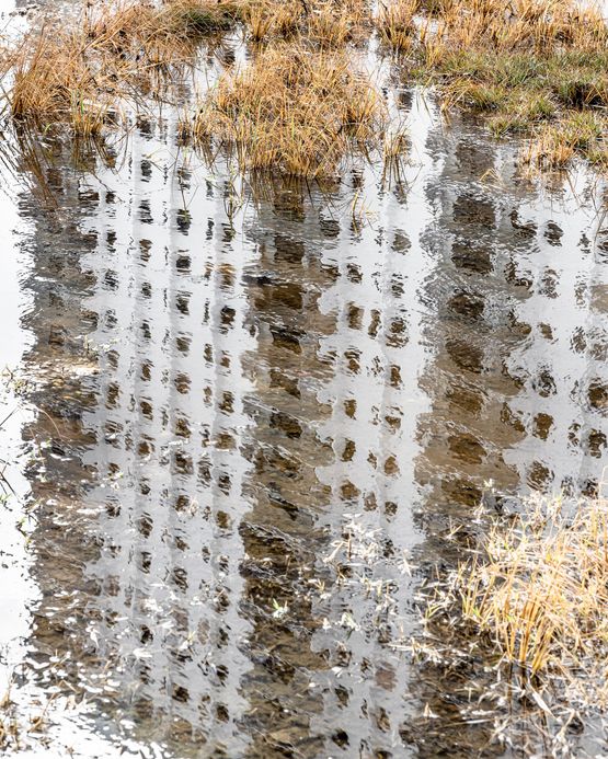 Condo Reflection at King Tide Hollywood by Anastasia Samoylova contemporary artwork Photography