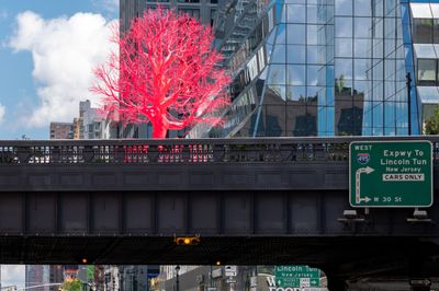 Pamela Rosenkranzs Hot Pink Tree Debuts on the High Line