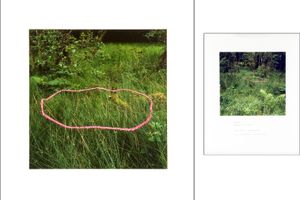 Andy Goldsworthy