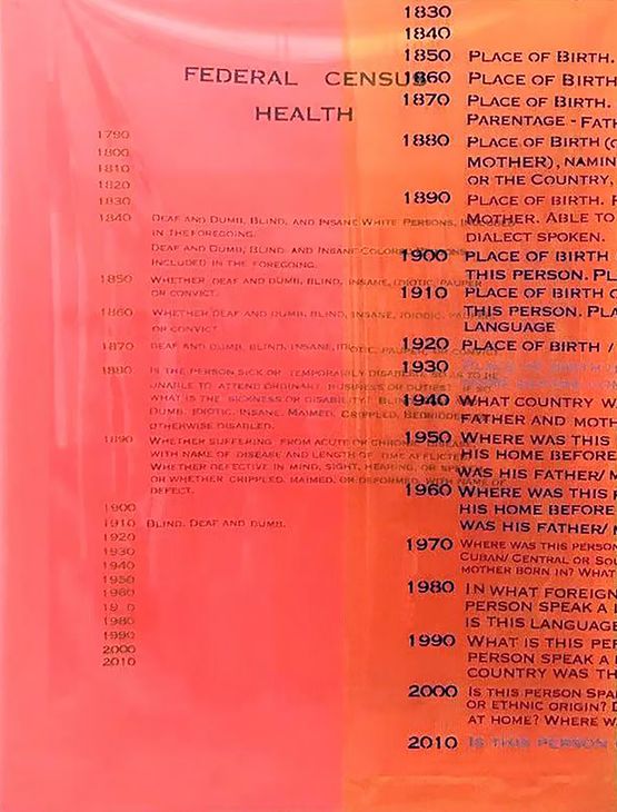 Federal Census Health Visi-guard fluorescent orange by Furen Dai contemporary artwork Sculpture
