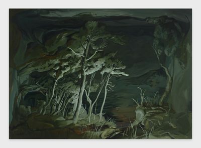 Emma Websters Cyborg Landscapes at Perrotin
