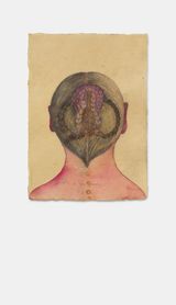 Ancestral by Sandra Vasquez De La Horra contemporary artwork works on paper