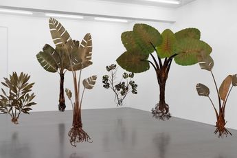 Julius Von Bismarck contemporary artist