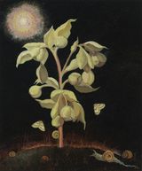 Spectre Fetid Hellebore by Georg Wilson contemporary artwork painting