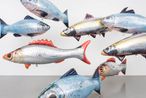 My Room is Another Fish Bowl by Philippe Parreno contemporary artwork Installation