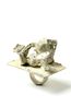 Ring by Karl Fritsch contemporary artwork Sculpture