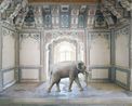 Ganeshas Stride Abha Mahal Ahichhatragarh Nagaur by Karen Knorr contemporary artwork Photography