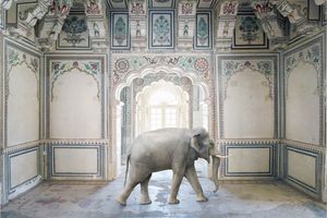 Karen Knorr