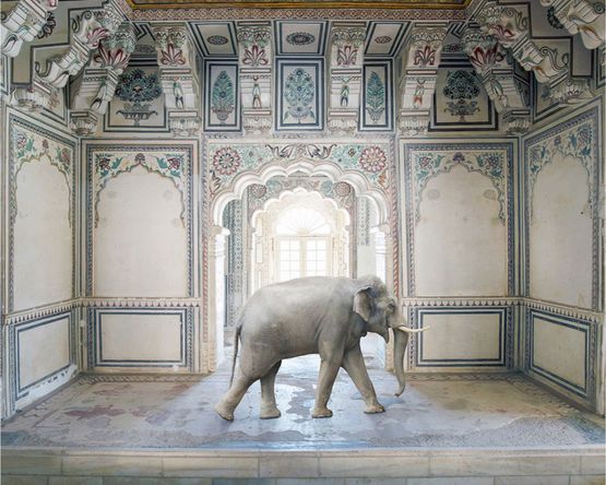Ganeshas Stride Abha Mahal Ahichhatragarh Nagaur by Karen Knorr contemporary artwork Photography