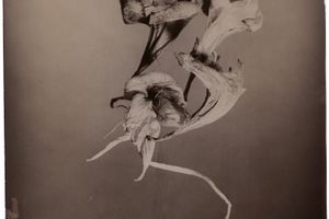 Walter Schels