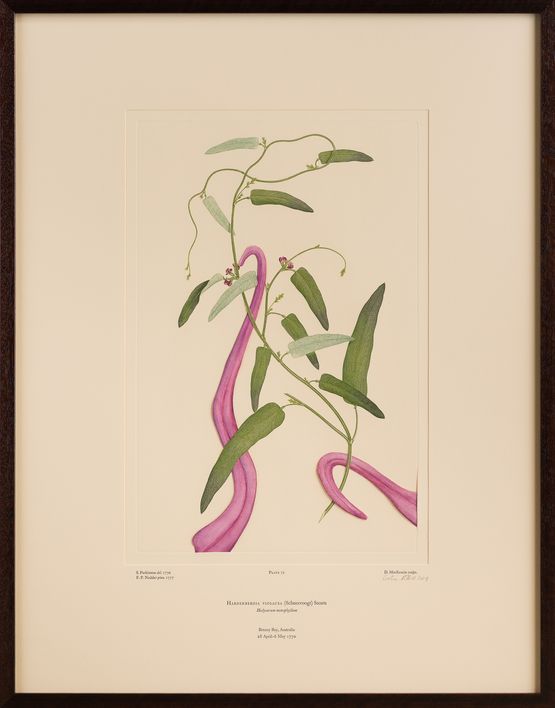 Untitled 72 by Caroline Rothwell contemporary artwork Print