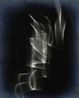 Untitled 01 by Thomas Ruff contemporary artwork Works on Paper