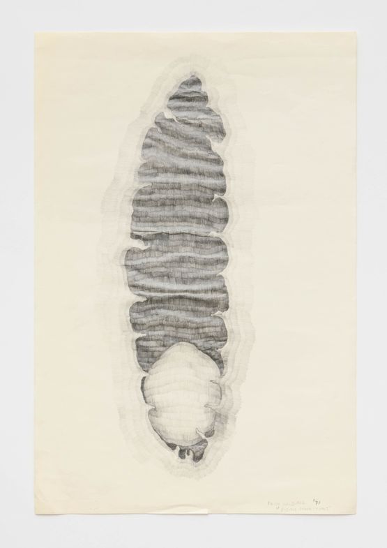 Rising Moon Cunt by Faith Wilding contemporary artwork Works on Paper