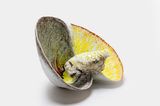 Batista by Kentaro Kawabata contemporary artwork sculpture