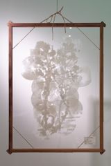 Flora of Formosa Twins by Yang Chung-Ming contemporary artwork works on paper