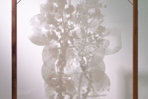 Yang Chung-Ming