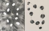 The Order of Things by Han Mengyun contemporary artwork painting