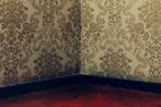 Julie Becker contemporary artist