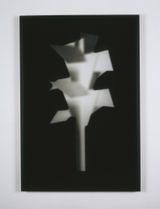 Concrete Autumn Phantom Tree by Martin Boyce contemporary artwork photography