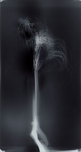 Untitled from Clearing by Simryn Gill contemporary artwork photography