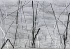 Untitled by Tan Ping contemporary artwork Painting