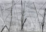 Untitled by Tan Ping contemporary artwork painting