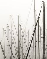 Masts by Anastasia Samoylova contemporary artwork photography print
