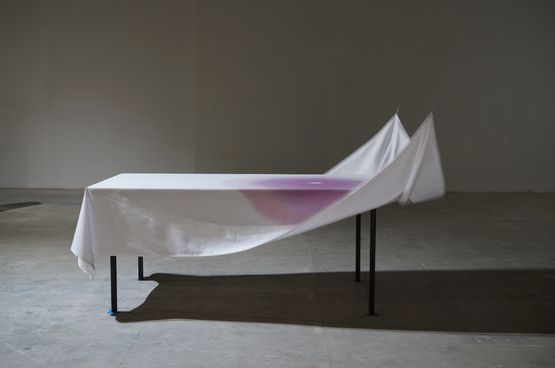 Reception by Joyce Ho contemporary artwork Installation