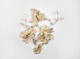 Bone of Currents by Shuyi Cao contemporary artwork mixed media sculpture